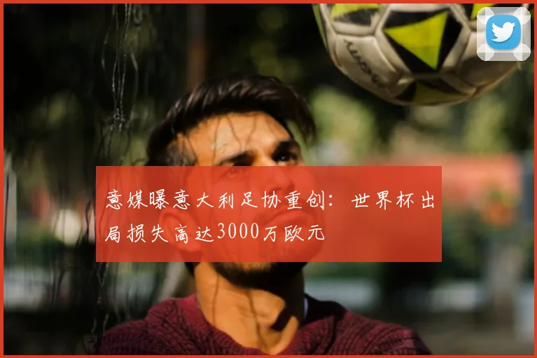 意媒曝意大利足协重创：世界杯出局损失高达3000万欧元