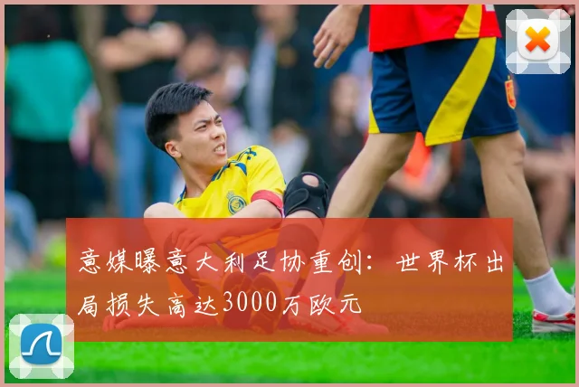 意媒曝意大利足协重创：世界杯出局损失高达3000万欧元